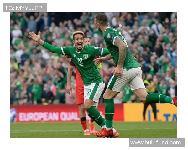 欧洲杯激战法国对阵爱尔兰精彩回顾与赛后分析