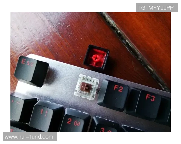 王者荣耀装备选购指南:推荐适合游戏的机械键盘品牌与型号 王者荣耀装备选购指南:推荐适合游戏的机械键盘品牌与型号